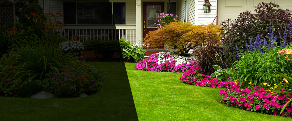 Kyle Landscapers